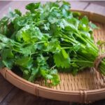 Cilantro Silvestre: La Planta Natural que Alivia el Dolor de Forma Segura y Eficaz