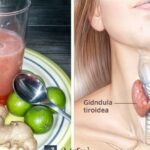 Rábanos, Jengibre y Miel: Aliados Naturales para la Salud de las Tiroides y la Vesícula
