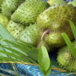 El Poder de lo Natural: Bebida Casera para Controlar la Diabetes y la Presión Alta