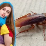 Dile adiós a las cucarachas con este remedio casero que sí funciona