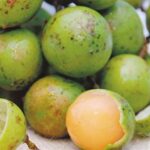 Por qué deberías incluir limoncillos en tu alimentación diaria