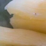 La Yuca: Una Perspectiva Crítica Sobre Sus Impactos en Salud
