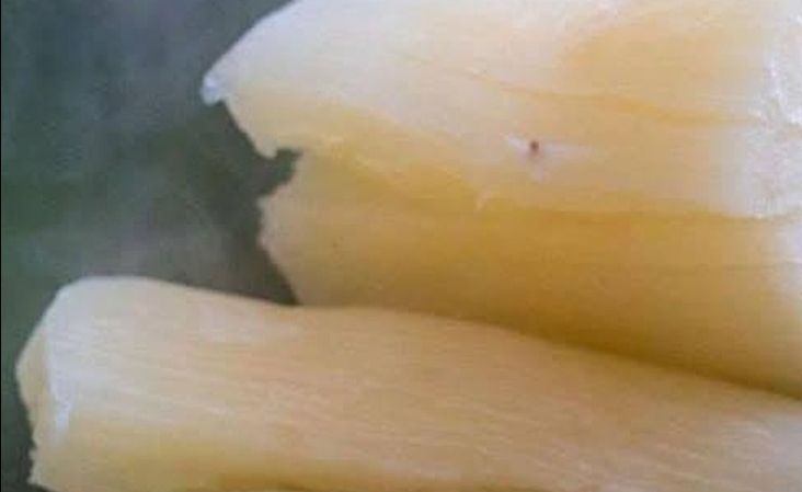 Yuca y sus implicaciones para la salud