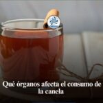 La Expresión Artística: Transformando lo Cotidiano