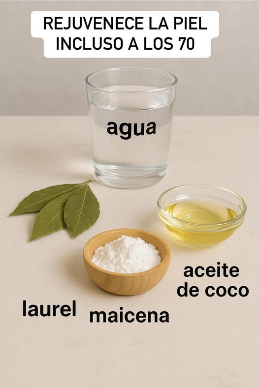 Hojas de Laurel