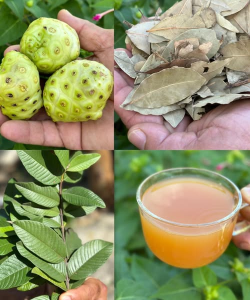 Ingredientes naturales para combatir enfermedades