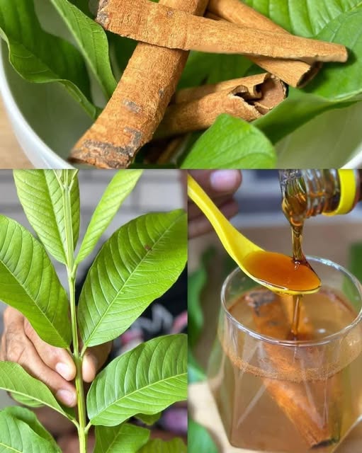 Té de canela y hoja de guayaba en una taza