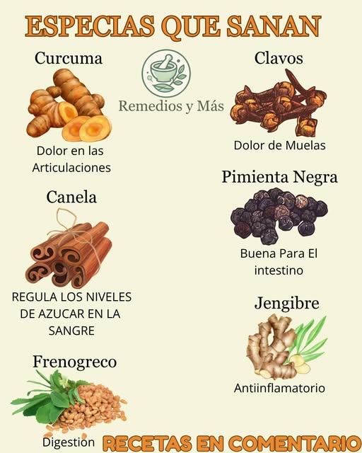 Variedad de especias