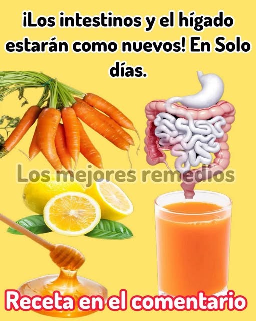 Limpieza de hígado e intestinos
