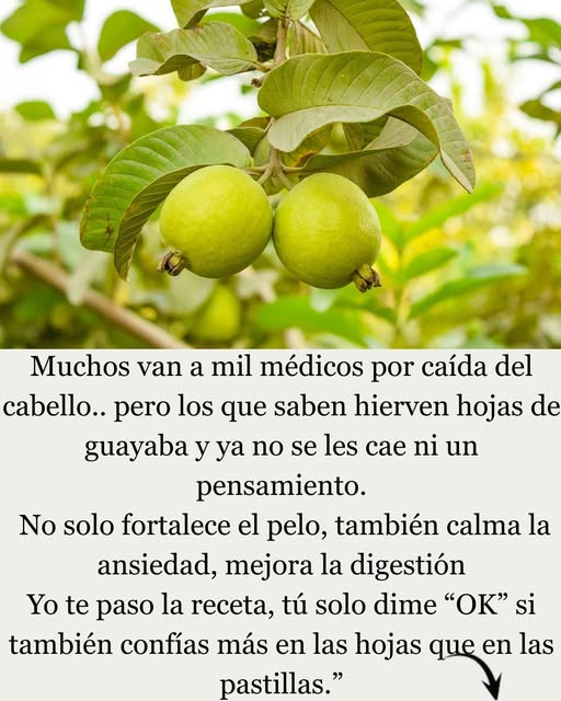 Remedios Naturales