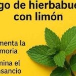 Jugo de Hierbabuena con Limón: Preparación y Beneficios