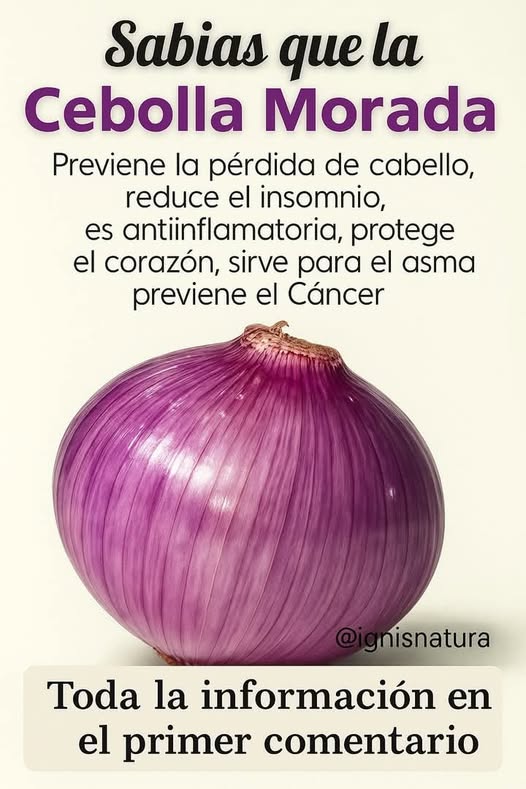 Cebolla Fresca