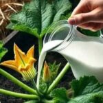 El Secreto del Agua Especial para Hacer Florecer Tus Plantas