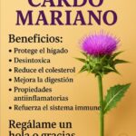 Beneficios del Cardo Mariano para tu Bienestar Diario