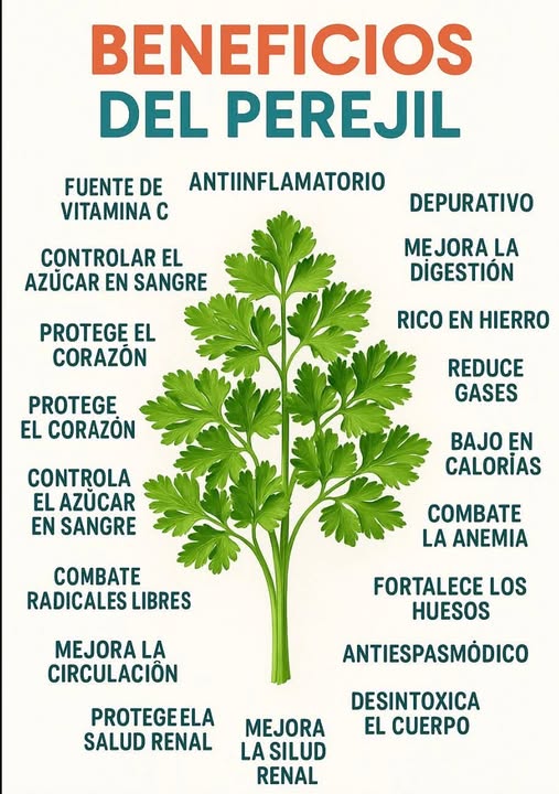 Beneficios del Perejil