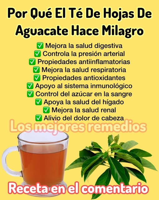 Té de Hojas de Aguacate