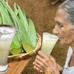 11 Razones Irresistibles para Beber Agua de Aloe Vera Todos los Días