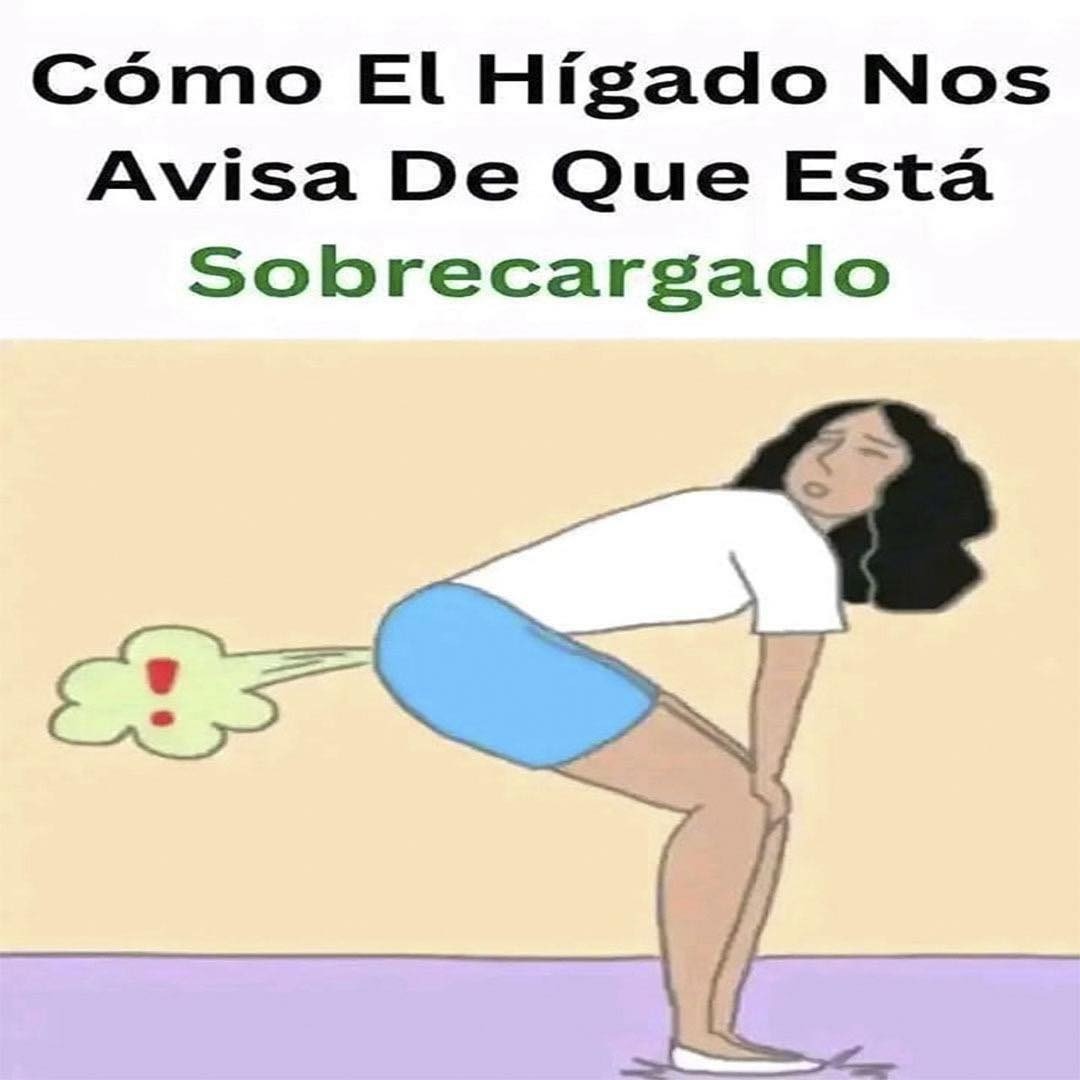 Cómo El Hígado Nos Avisa De Que Está Sobrecargado