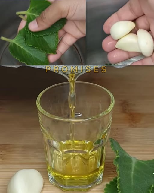 Remedio natural de ajo para salud intestinal