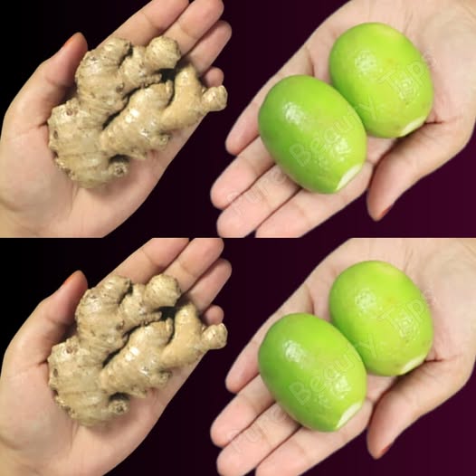 Ingredientes naturales: Jengibre y frutos de jabón