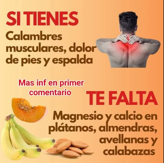 Alimentos ricos en magnesio y calcio