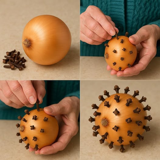 Proceso de clavar clavos en una cebolla