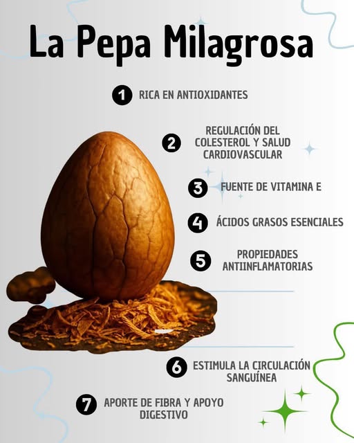 Beneficios de la Semilla de Aguacate