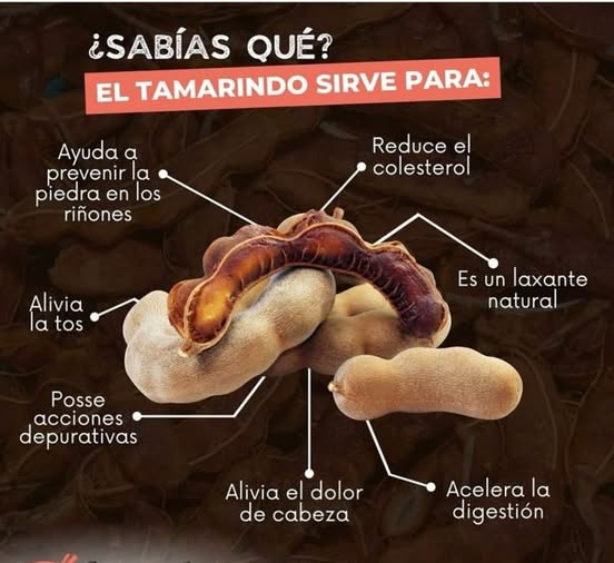 Beneficios del Tamarindo para la Salud