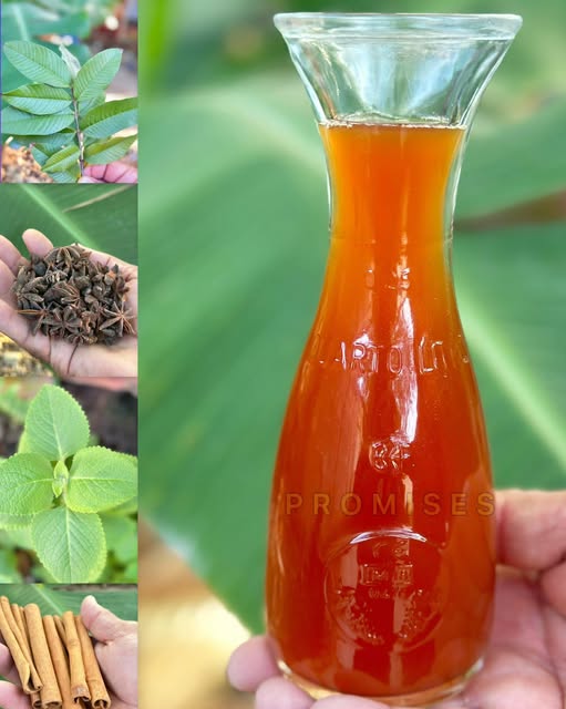 Ingredientes naturales del té para la diabetes