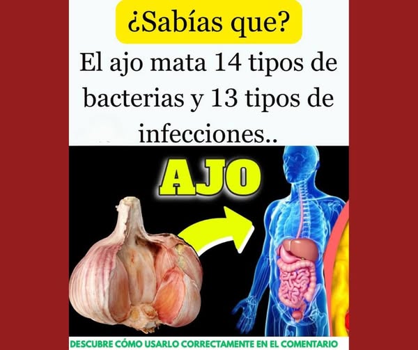 Beneficios del ajo para la salud