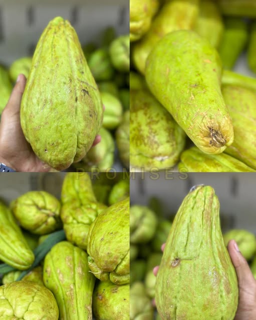 Perspectivas de un chayote