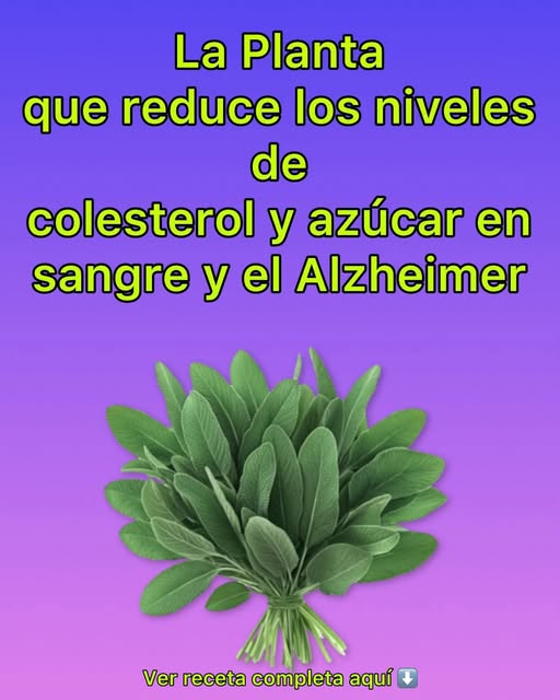 Licuado de nopal con piña y apio