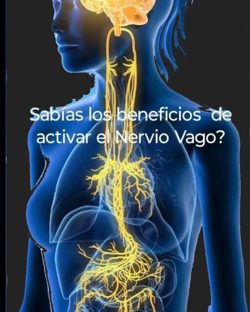 Hoja de menta fresca