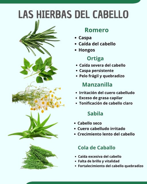 Hortaliza para el cabello