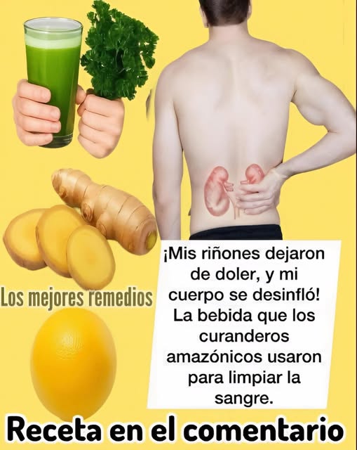 Remedio Natural para la Salud de los Riñones