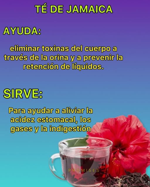 Té de Jamaica servido en una taza decorativa con flor de Jamaica