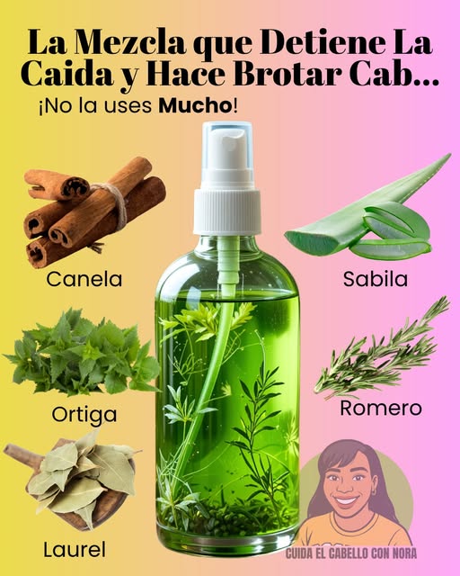 Mezcla natural para el cabello con canela, sábila, ortiga, romero y laurel