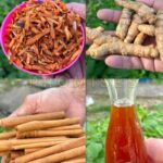 Semillas Mágicas: El Remedio Natural que Transformará Tu Salud