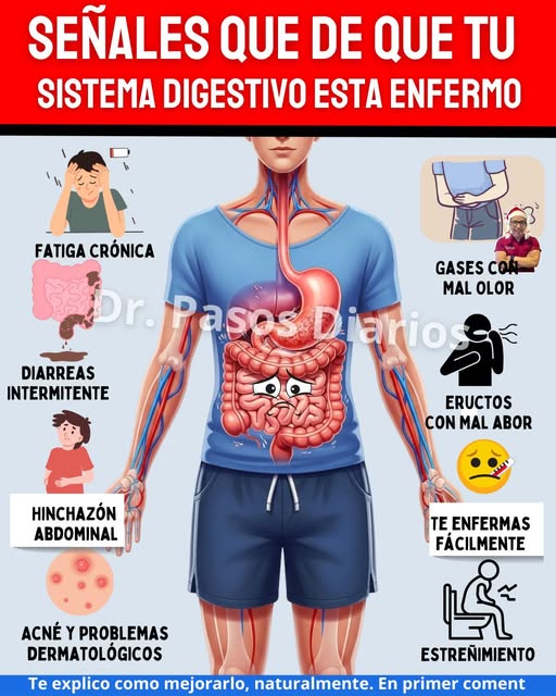 Sistema Digestivo y Sus Síntomas