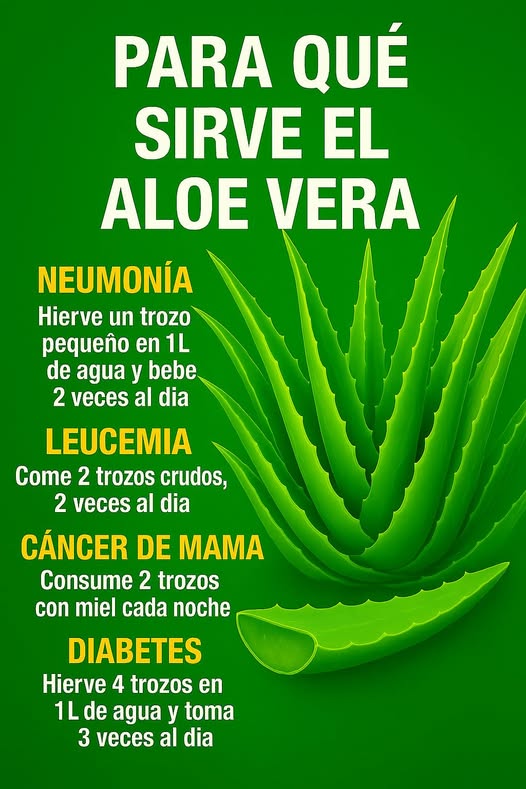 Beneficios del Aloe Vera