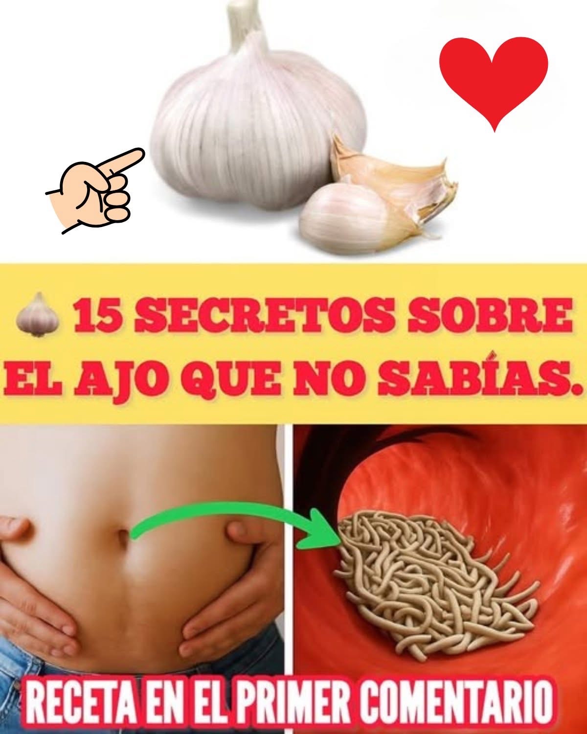 El Ajo y la Salud Digestiva
