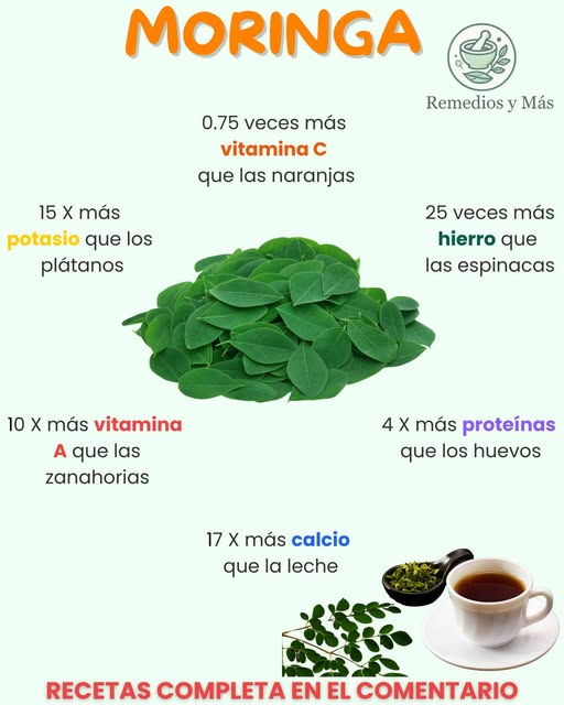 Beneficios de la Moringa
