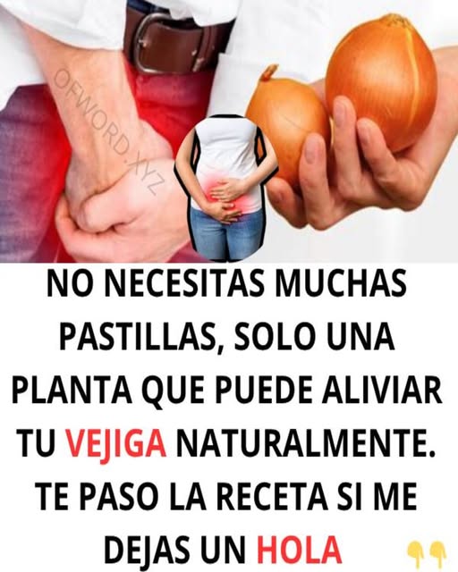 Cebollas y salud de la vejiga