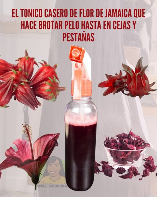 Tónico Casero de Flor de Jamaica