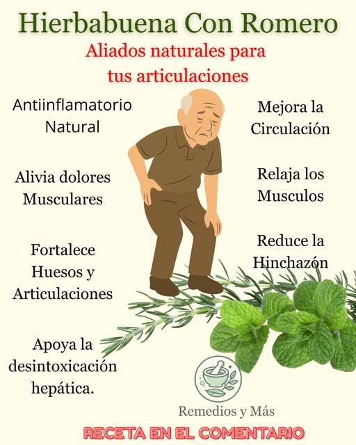 Hierbabuena y Romero