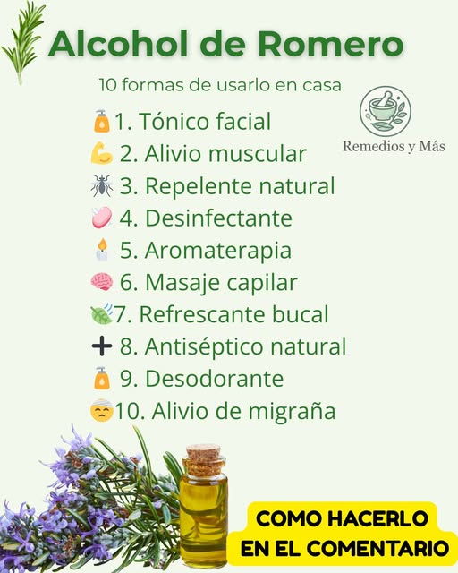 Guía del Alcohol de Romero