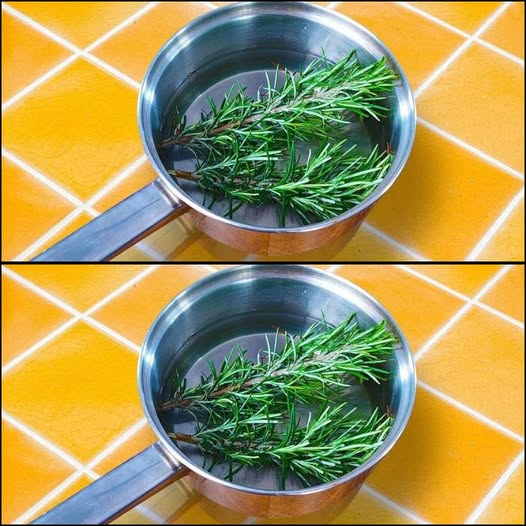 Cacerola con agua y romero