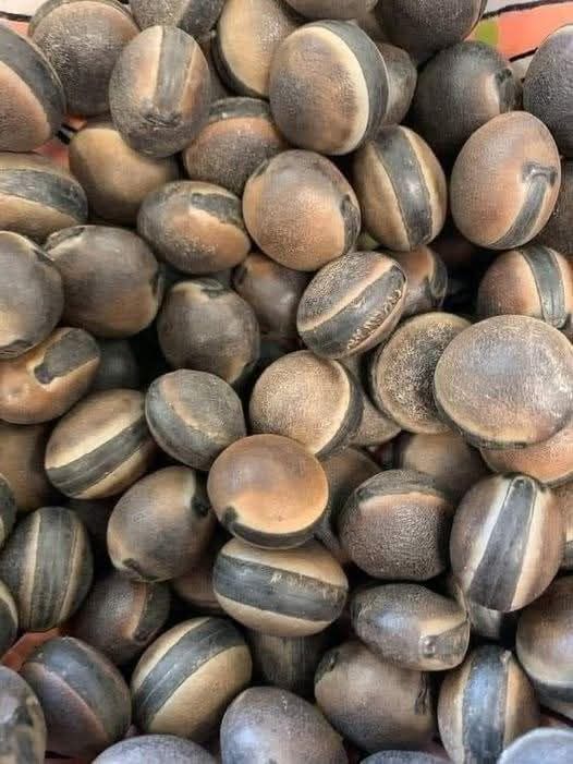 Semillas de Nuez Moscada