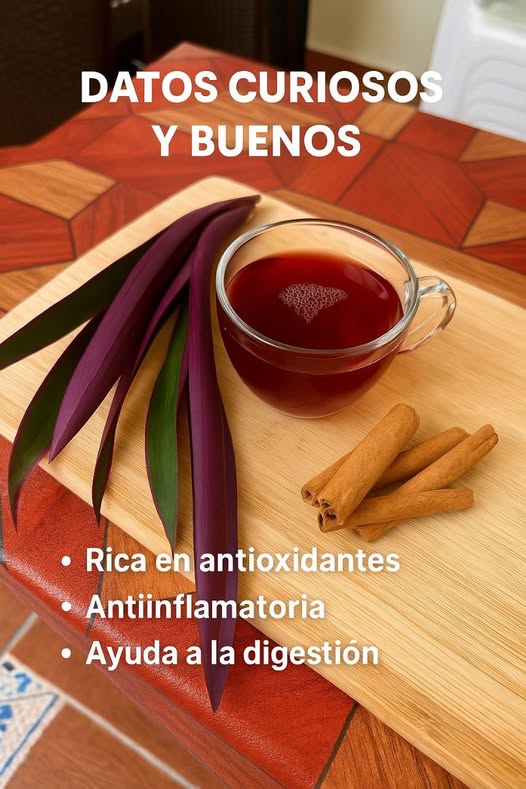 Té de Maguey Morado con Canela
