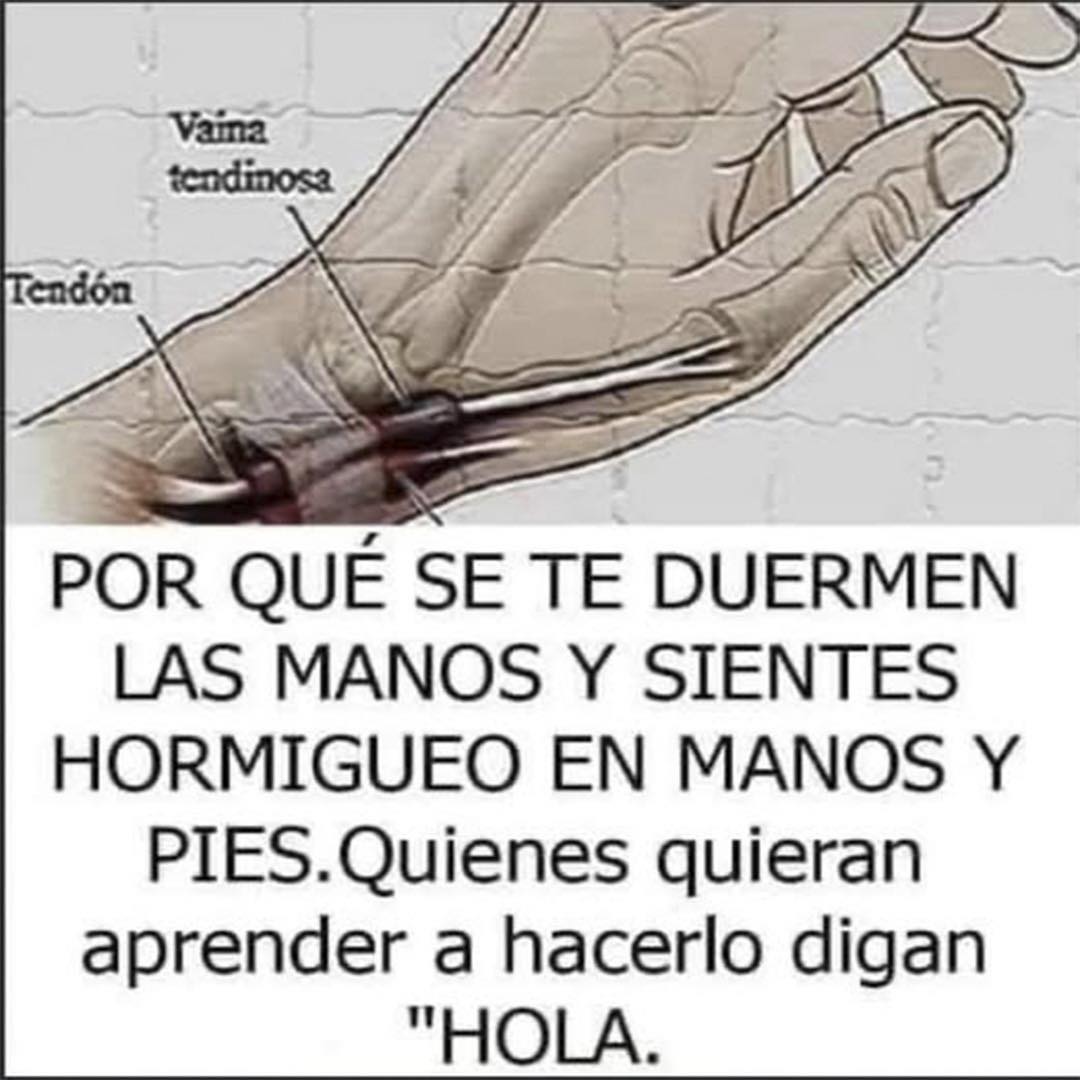 Ilustración de mano con vaina tendinosa y tendón